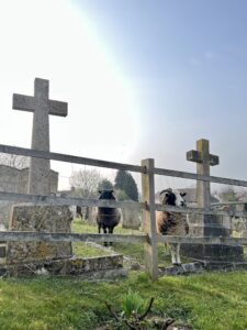 Read more about the article At the border between Mercia and East Anglia (part two)