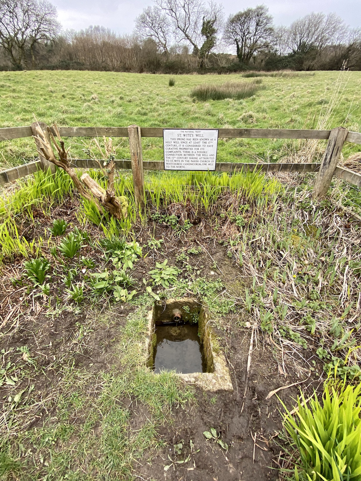Read more about the article Saints and the theme of ‘water’